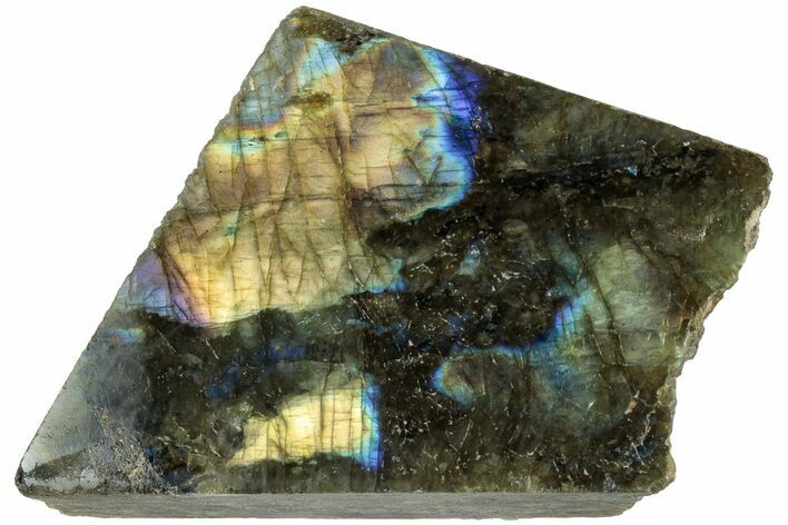 Single Side Polished Labradorite Section - Madagascar #238248
